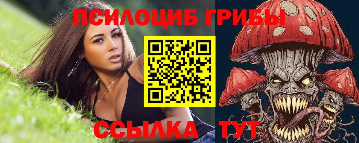 Псилоцибиновые грибы MAGIC MUSHROOMS  Вход с VPN  Камышин 