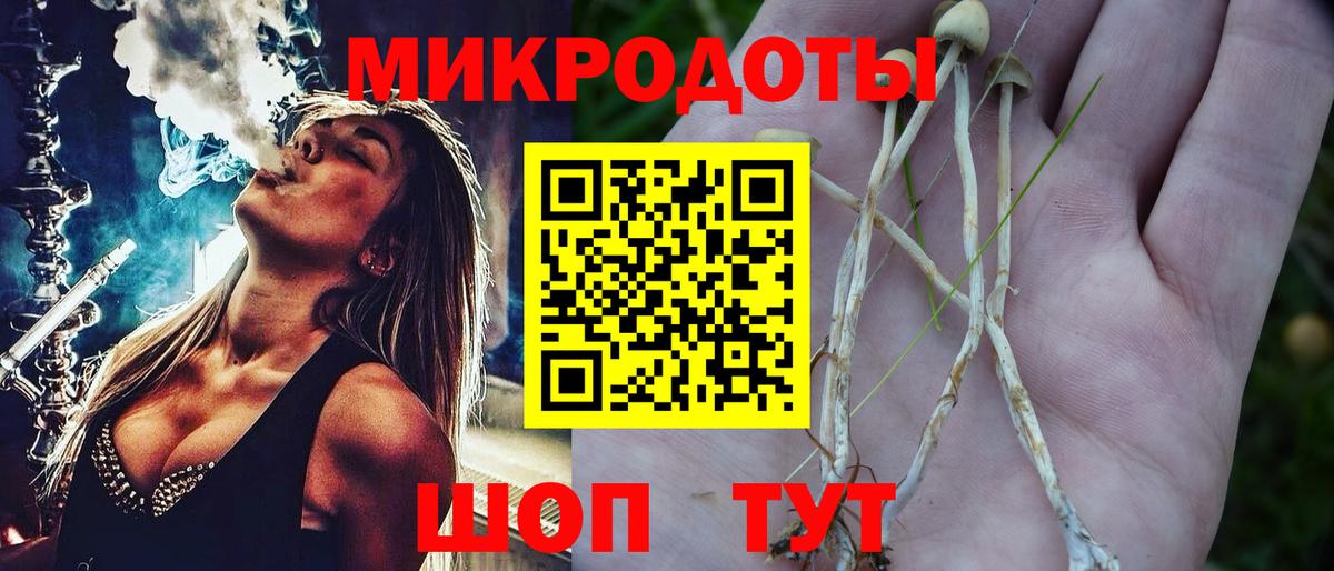 Галлюциногенные грибы Psilocybe Камышин